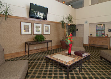 H I Express & Suites San Antonio Medical-Six Flags Buitenkant foto